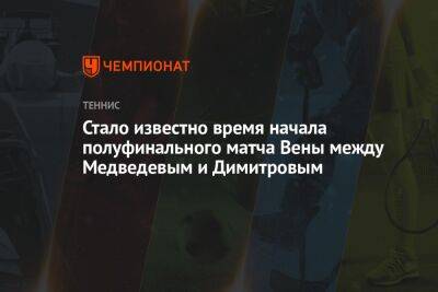 Стало известно время начала полуфинального матча Вены между Медведевым и Димитровым