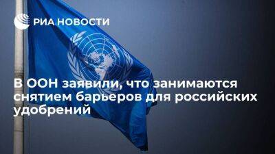 ООН заявила, что занимается снятием барьеров для удобрений России, но не мониторит сделки