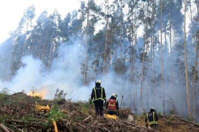 Несезонная жара вызвала десятки лесных пожаров в Испании - unn.com.ua - Украина - Киев - Испания - Reuters