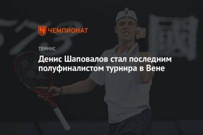 Денис Шаповалов стал последним полуфиналистом турнира в Вене