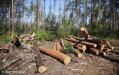 Мешканців восьми прифронтових територій забезпечать безкоштовними дровами