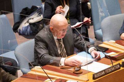 «Грязная бомба» и «боевые комары»: постпред РФ испытывает терпение Совбеза ООН