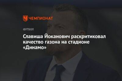 Славиша Йоканович раскритиковал качество газона на стадионе «Динамо»