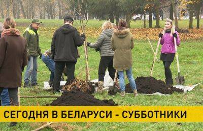 По всей Беларуси проходят субботники