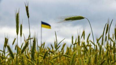 Россия приостановила участие в соглашении по вывозу украинского зерна