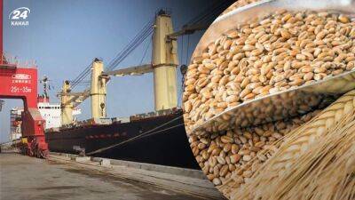 Прекратите голодные игры, – Украина отреагировала на заявление России о приостановке зернового соглашения