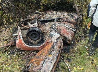 В Черниговской области погибли четверо грибников: наткнулись на мину