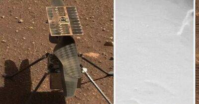 Странный объект зацепился за "ногу" вертолета Ingenuity на Марсе: в NASA пока не знают, что это