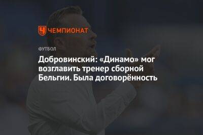 Добровинский: «Динамо» мог возглавить тренер сборной Бельгии. Была договорённость