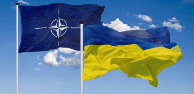 Вступ до НАТО. Як змінились настрої українців з червня – опитування
