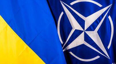 Поддержка вступления Украины в НАТО достигла исторического рекорда – соцопрос