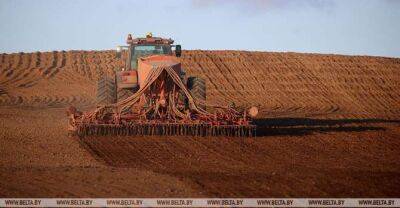 Winter grains sown on over 1 million ha in Belarus