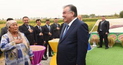 Глава государства Эмомали Рахмон в городе Турсунзаде ознакомился с ходом сбора риса в дехканском хозяйстве «Ислом» и посетил выставку зерновых культур