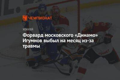 Форвард московского «Динамо» Игумнов выбыл на месяц из-за травмы