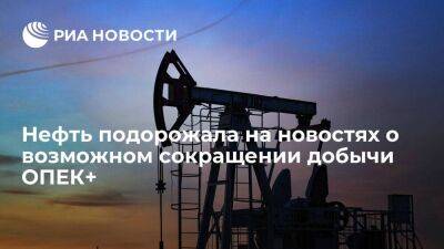 Нефть подорожала на 4 процента на новостях о возможном сокращении добычи ОПЕК+