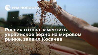 Константин Косачев - Косачев заявил о готовности России полностью заместить украинское зерно на мировом рынке - smartmoney.one - Россия - Украина - Севастополь