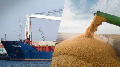 "Голодный пиар": Россия уже предлагает заменить украинское зерно "своим"