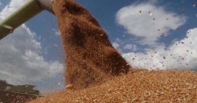 Разрыв зернового соглашения: Россия предлагает заменить украинское зерно своим, Кулеба протестует