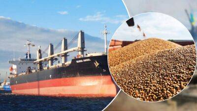 Из-за России экспорт зерна сейчас невозможен, – Мининфраструктуры