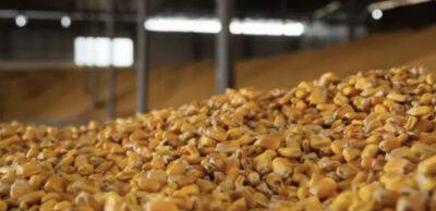 Росія продає вкрадене в України зерно в Туреччину — Financial Times