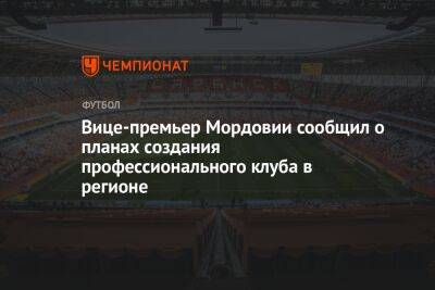 Вице-премьер Мордовии сообщил о планах создания профессионального клуба в регионе