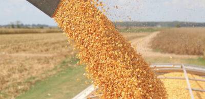 Може з'явитися нова зернова угода: Польща та ЄС допоможуть Україні з експортом зерна