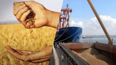 Турция ведет переговоры с Россией по возобновлению зернового соглашения