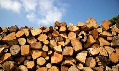 Безкоштовні дрова для мешканців прифронтових областей: як їх отримати