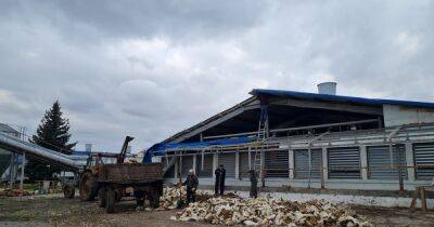 В Донецкой области ВС РФ уничтожили крупнейшее предприятие по производству яиц