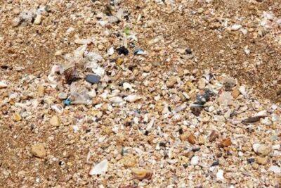 Исследование: 2 тонны пластика, обнаруженные на израильских пляжах, опасны для здоровья