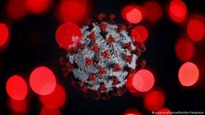 Новий різновид коронавірусу виявили у Польщі