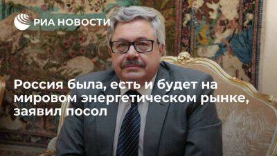 Посол Ерхов заявил, что потребители не могут отказаться от доступного российского газа