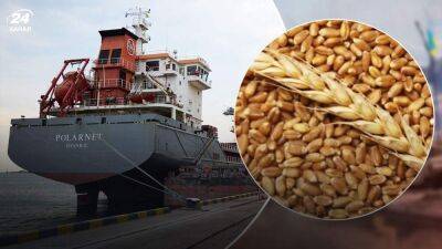 После выхода России из "зернового соглашения" цены на кукурузу и пшеницу стремительно выросли