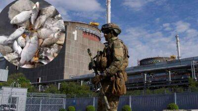 Россияне спровоцировали настоящую экологическую катастрофу на Запорожской АЭС
