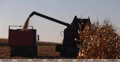 Belarus threshes 1m tonnes of maize - udf.by - Belarus - city Minsk