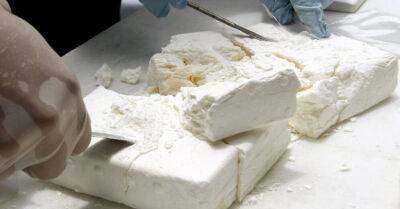 Франция: дальнобойщик из Латвии получил срок и штраф в размере 100 000 евро за провоз 15 кг кокаина