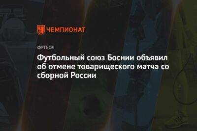 Футбольный союз Боснии объявил об отмене товарищеского матча со сборной России 19 ноября