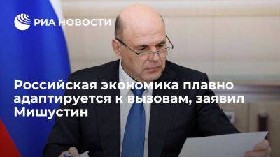 Премьер Мишустин заявил, что российская экономика плавно адаптируется к вызовам