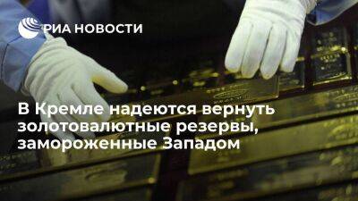Дмитрий Песков - Дидье Рейндерс - Песков заявил, что надежда на возвращение замороженных Западом ЗВР умирает последней - smartmoney.one - Москва - Россия - Украина