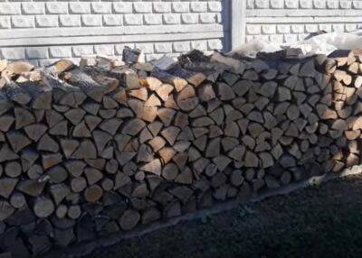 Начиная с сегодняшнего дня: украинцам начали бесплатно развозить дрова – как получить
