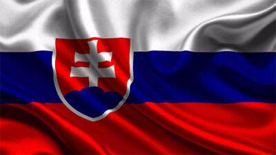 «Друзям Путіна» не вдалося здобути перемогу на місцевих виборах у Словаччині