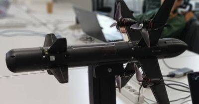 Сможет ли украинский дрон Fowler сбивать иранские БПЛА Shahed-136: мнение инженера