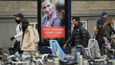 Дания: "выборы из-за норок"