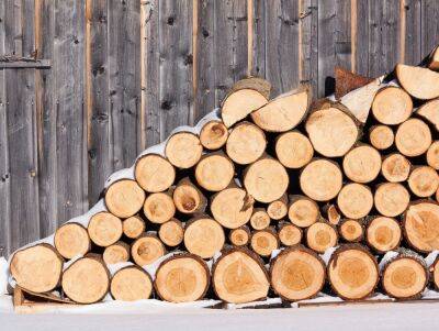 На бесплатные дрова претендуют 165 тысяч семей — распоряжение Синегубова