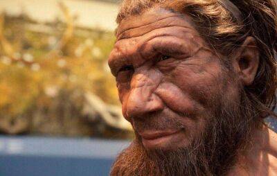 Нобелевская премия по физиологии/медицине досталась Сванте Паабо — шведский биолог расшифровал геном неандертальца и определил, когда произошел первый контакт вымерших гомининов с Homo sapiens