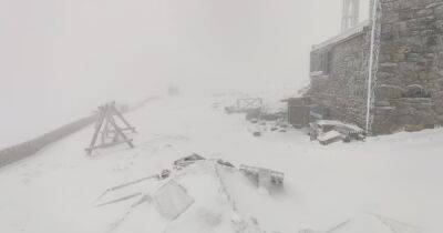 В Карпатах на горе Поп Иван снова выпал снег