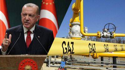 Турция просит Россию отсрочить платежи за газ до 2024 года, – Bloomberg