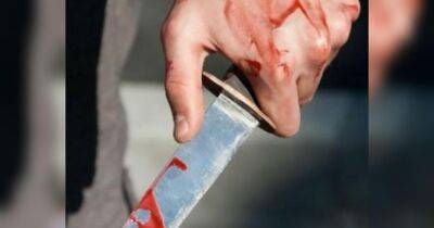 В Ірландії напали на матір з донькою з України: дівчинка отримала 74 ножові поранення