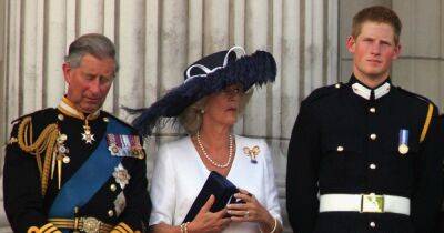 принц Гарри - принц Чарльз - Меган Маркл - Камилла - Камилла Паркер-Боулз - королева-консорт Камилла - покойная королева Елизавета II (Ii) - Принц Гарри говорил неприятные вещи о королеве-консорт Камилле - focus.ua - США - Украина - Англия