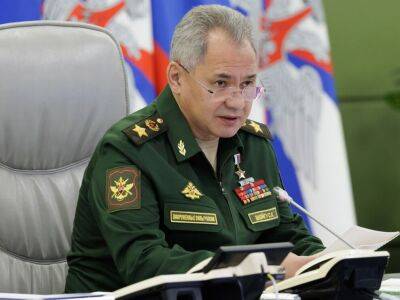 В РФ в армию прибыли более 200 тыс. мобилизованных россиян – Шойгу